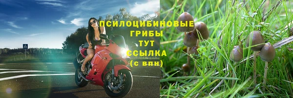 СК Арсеньев