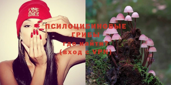 ГАЛЛЮЦИНОГЕННЫЕ ГРИБЫ Балахна