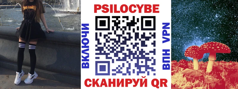 как найти   Валдай  Галлюциногенные грибы GOLDEN TEACHER 
